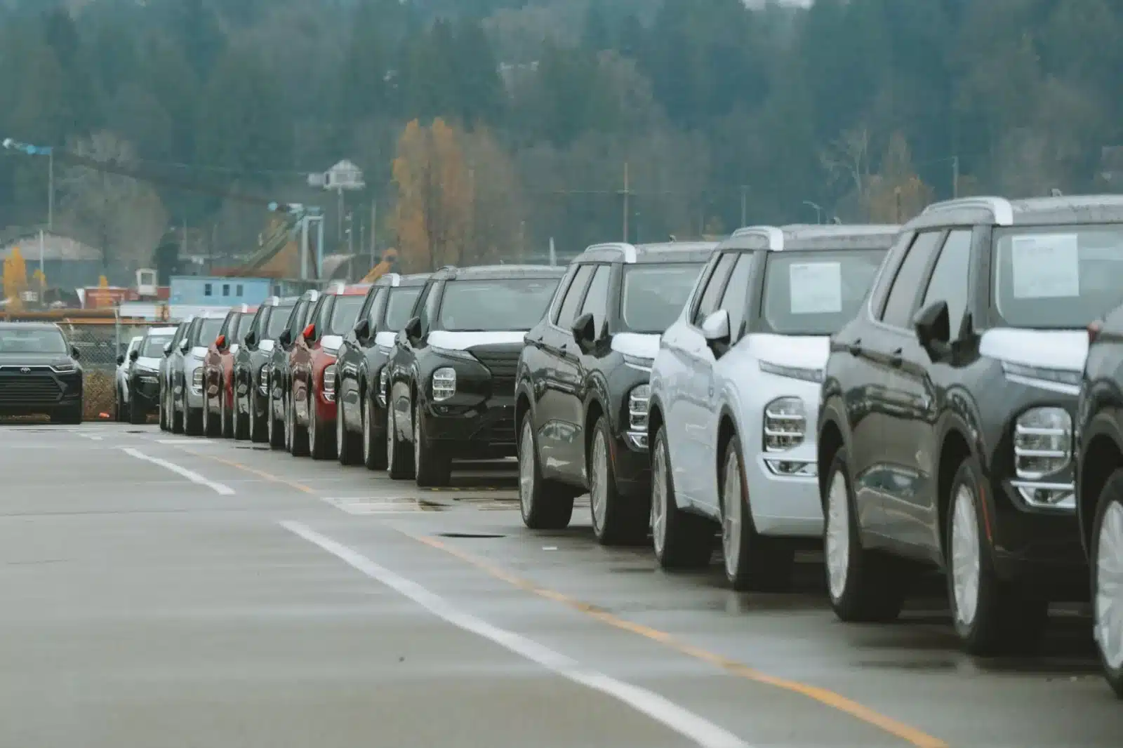 Voitures d'occasion électriques exposées sur un parc de concessionnaire