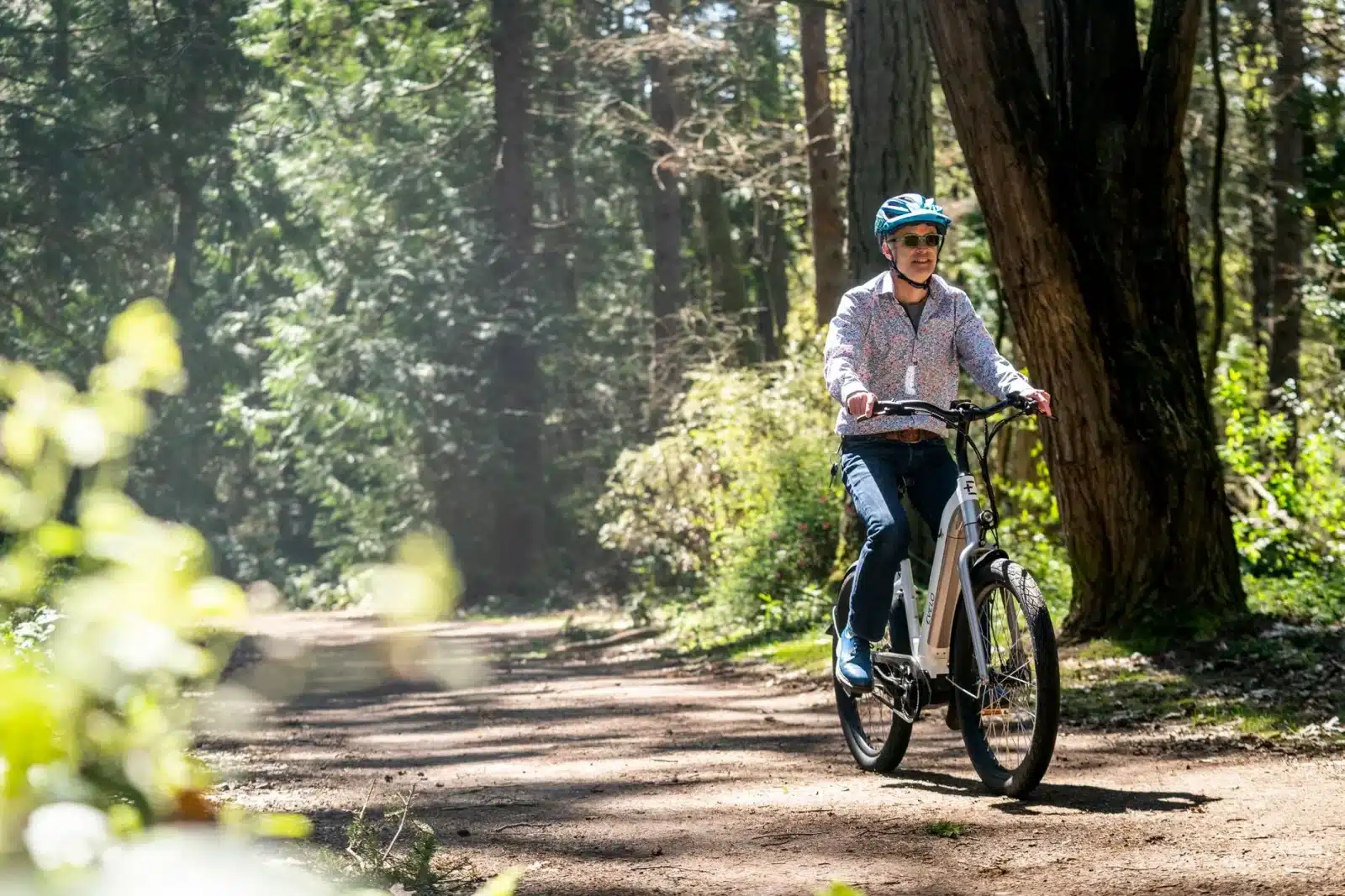 Vélo électrique Riese & Müller UBN Seven en randonnée en forêt